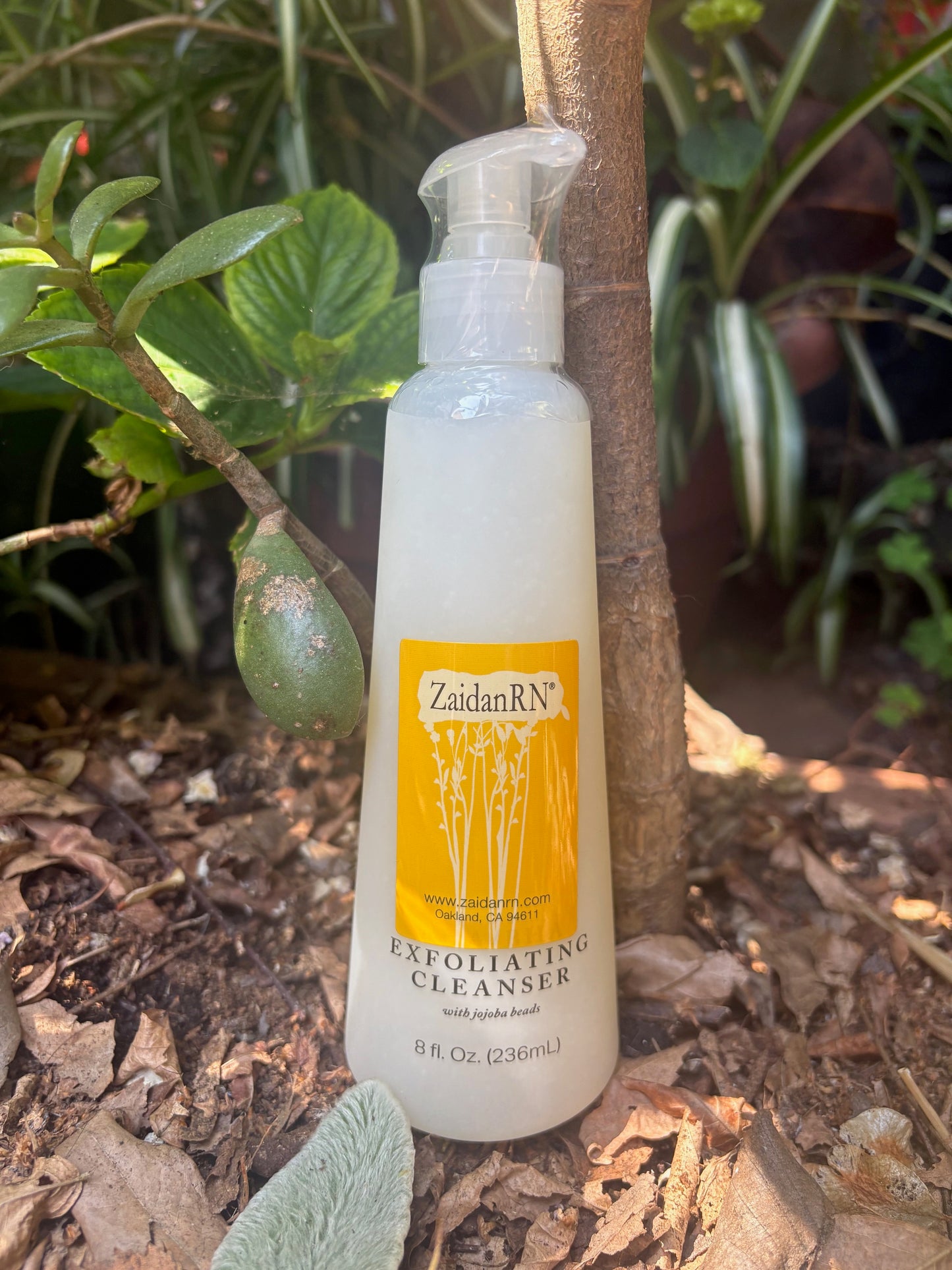 Exfoliating Cleanser