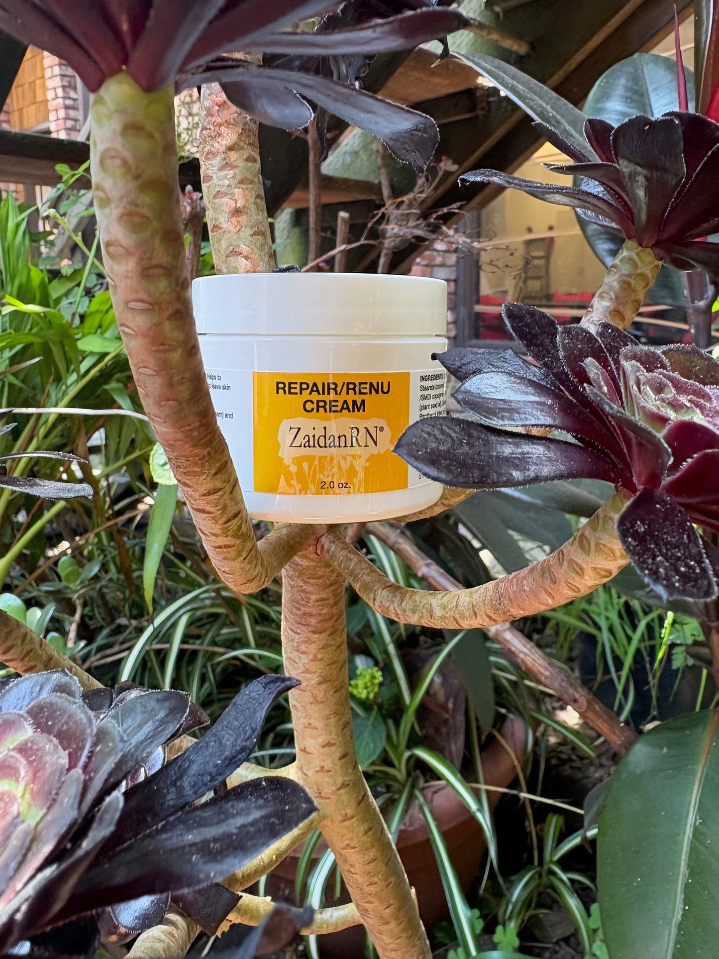 Repair/Renu Cream